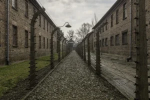 Auschwitz's Walls